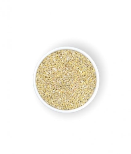 شعير حب بلدي