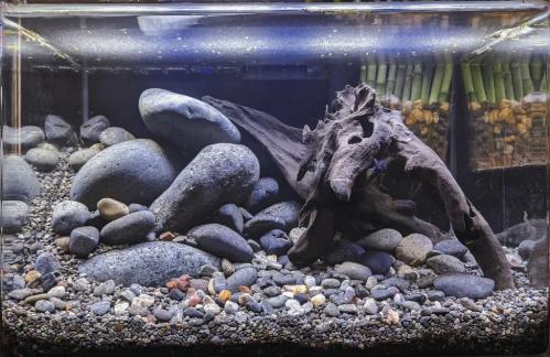 صخور نهرية River rocks