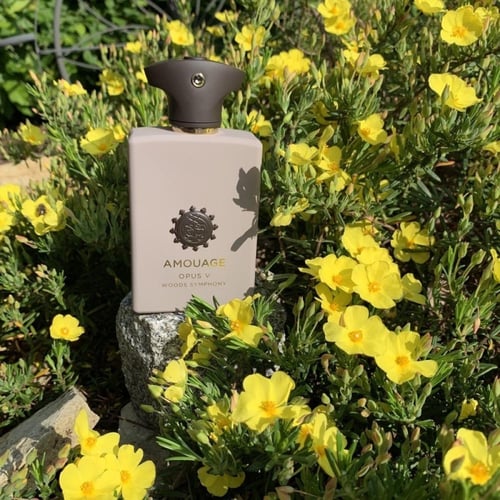 عطر اوبوس V وودز سيمفوني من امواج للجنسين او دو با...