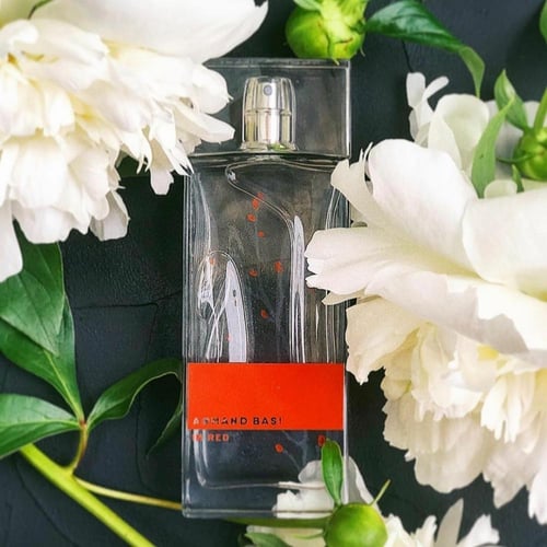 عطر ان ريد من ارماند باسي او دو تواليت 100 مل