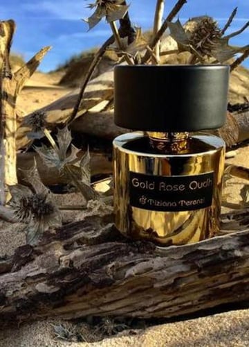 عطر غولد روز عود من تيزيانا تيرينزي – للجنسين – إك...