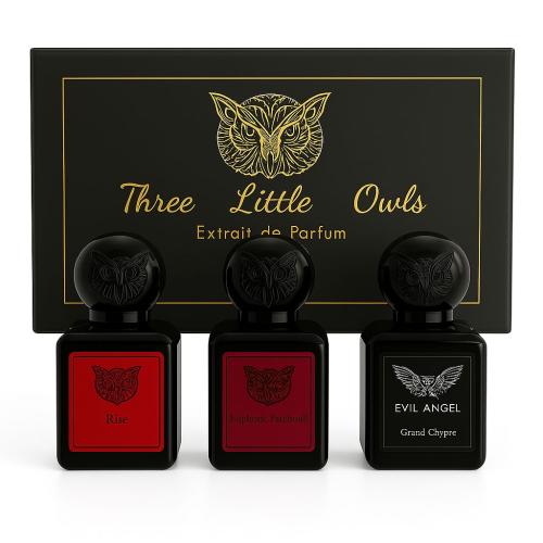 مجموعة لورينزو بازاجليا – للجنسين – إكستريت دو بار...