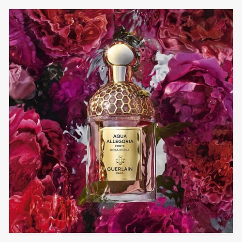 عطر اكوا اليغوريا فورت روزا باليساندرو من غيرلان ل...