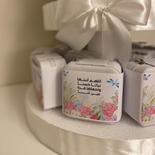 منظم مجوهرات