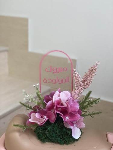 سيارة اطفال