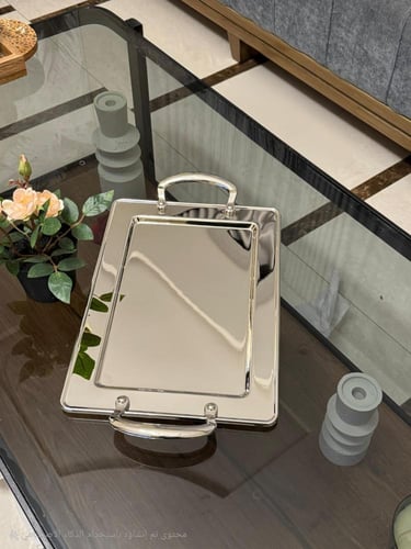 صواني تقديم ستانليس ستيل