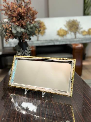 تباسي تقديم ستانليس ستيل