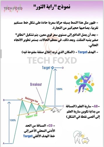 نوتة المتداولين (الكتاب الذي سيُميزك عن البقيه)