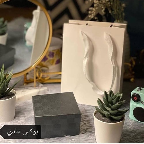 اسوارة هيرميس مقاس ١٧ سم