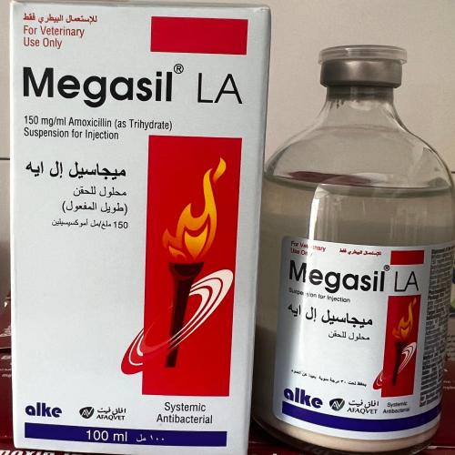ميجاسيل ال ايه 100م