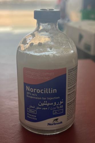 نوروسللين 100مل