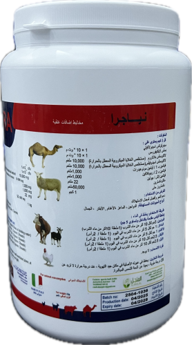 نياجرا - خمائر - كيلو