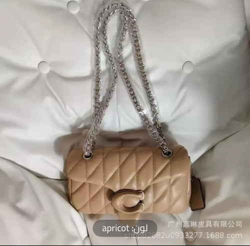 حقيبة نسائية صغيرة فاخرة