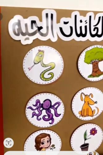 الكائنات الحيه و الغير الحيه