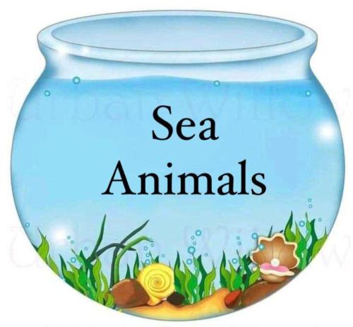 مطوية sea animals
