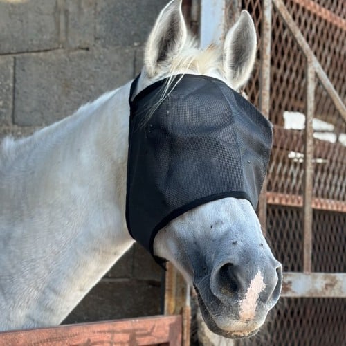 برقع ذباب هاي رايدر