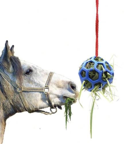 لهاية للخيل على شكل كورة