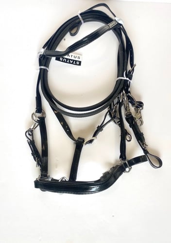 لجام تحمل ستيتوس