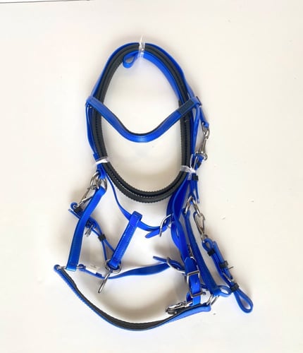 لجام تحمل ستيتوس