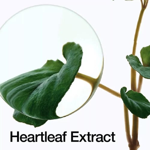 أنوا غسول زيتي هارتليف للتحكم في المسام 200 مل