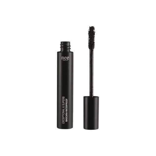 مسكره عيون Exceptional & Superb Mascara Black