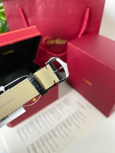 كارتير سانتوس دومو