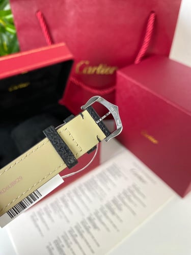 كارتير سانتوس دومو