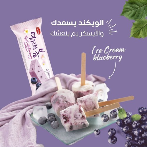 ايسكريم الزبادي بالتوت البري