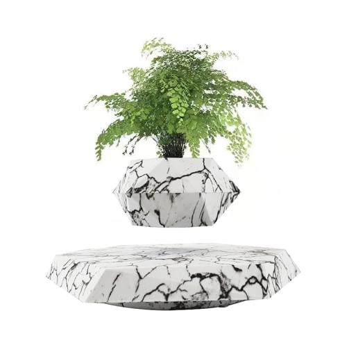 حوض نباتات طائر مغناطيسي (تحفة ديكور عائمة وتدور 3...