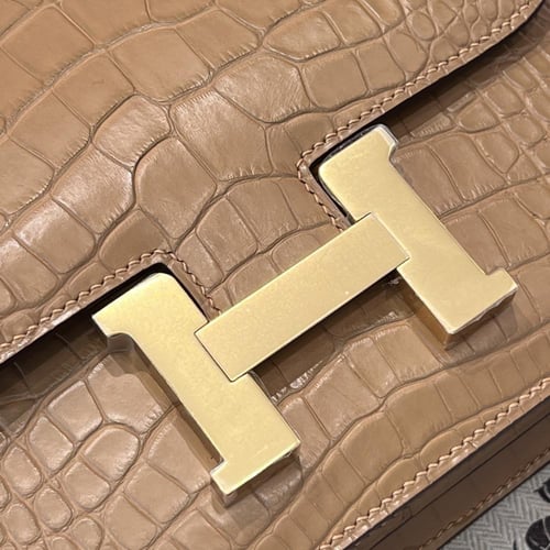 Constance 18cm crocodile