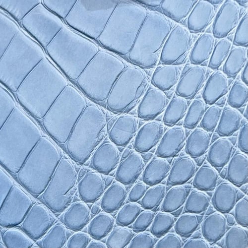 Birkin 25cm crocodile