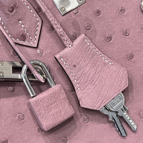 Birkin 25cm ostrich