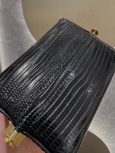 جلد السحلية 10x10x7cm