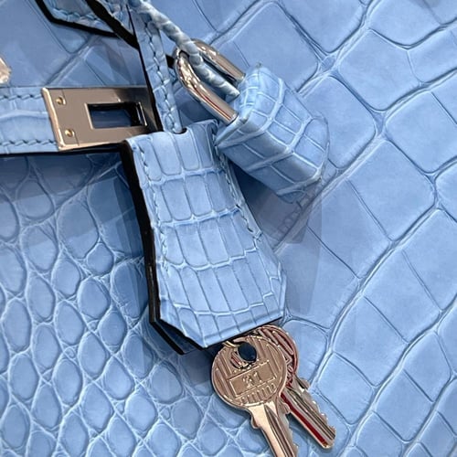 Birkin 25cm crocodile