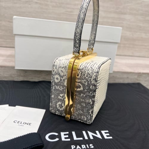 جلد السحلية 10x10x7cm