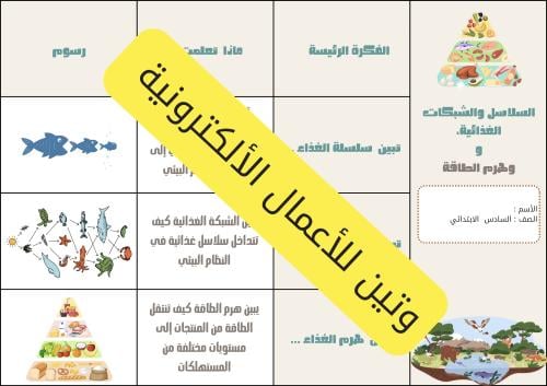 مطوية السلاسل و الشبكات الغذائية وهرم الطاقة الصف...