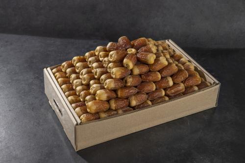 صقعي نوادر