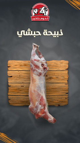 ذبيحة حبشي من 7- 8 كيلو
