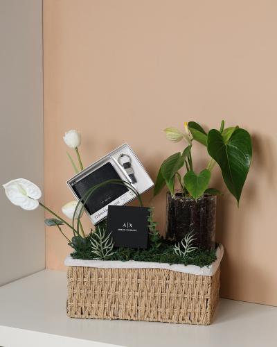 تنسيق هديه رجاليه مع نبتة طبيعيه