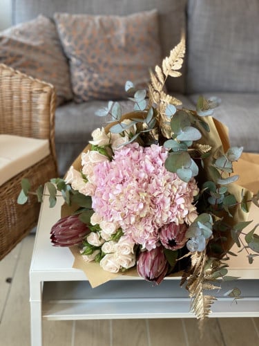 باقه سفاري اند هيدرنجا