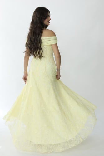 فستان دانتيل بشك وكتف تُل بقصة ذيل