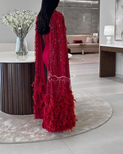 فستان سهرة بشال من الريش ثلاث اللوان بتصميم فاخر