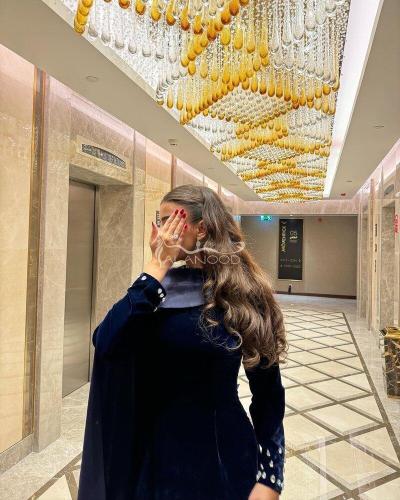 فستان مخمل كوري باكمام مطرزة شتوي 2025 أنيق