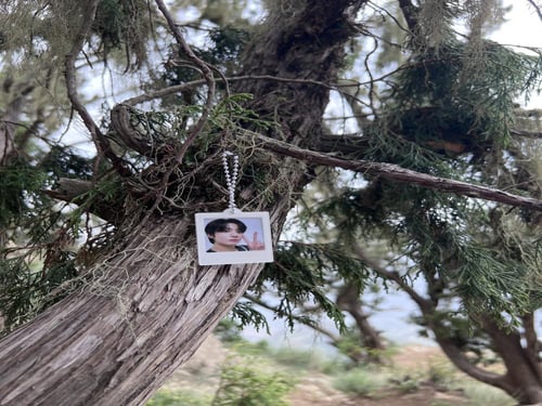 Mini Polaroid الصور من اختيارك