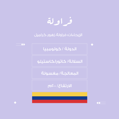 محمصة نسج - فراولة- كولومبيا-مغسولة