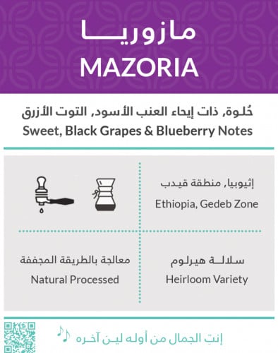 كفة - مازوريا