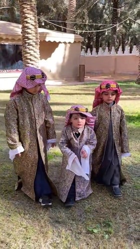 دقلة العرضه النجديه