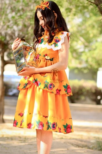 فستان شالكي جديد2024