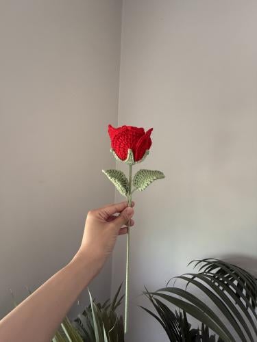 ورد الحب الأبدي