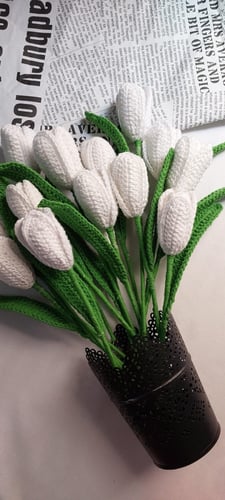 وردالدائم تولب مع كرت